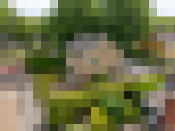 Munnikestraat 18 Surhuisterveen thumbnail 5