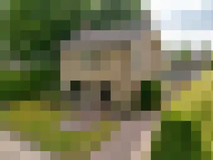 Munnikestraat 18 Surhuisterveen thumbnail 6