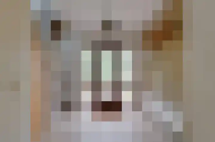 Munnikestraat 18 Surhuisterveen thumbnail 7