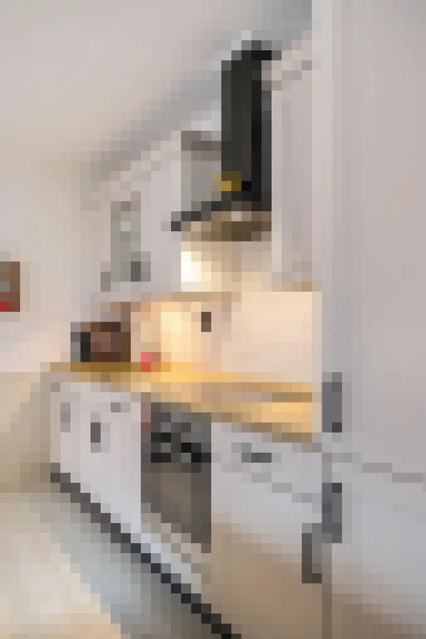 Munnikevaart 20 Oostwold thumbnail 10