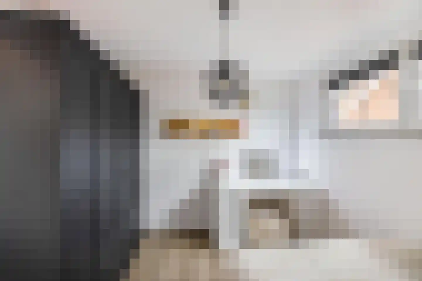 Munnikevaart 20 Oostwold thumbnail 20