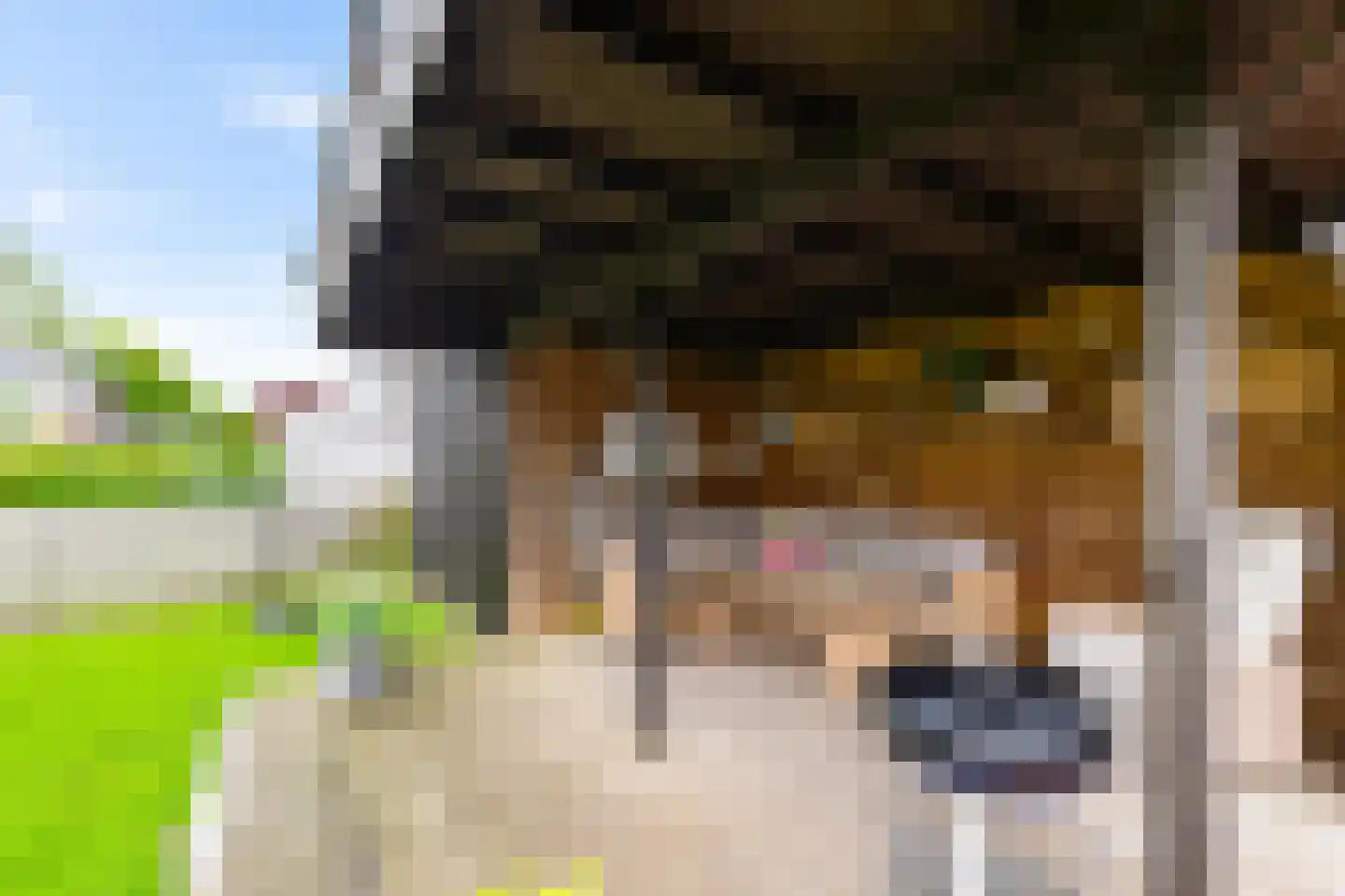 Munnikevaart 20 Oostwold thumbnail 36