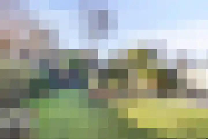 Munnikevaart 35 Oostwold thumbnail 43