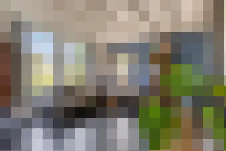 Munnikevaart 8 Oostwold thumbnail 10