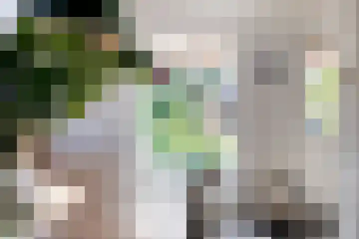Munnikevaart 8 Oostwold thumbnail 17