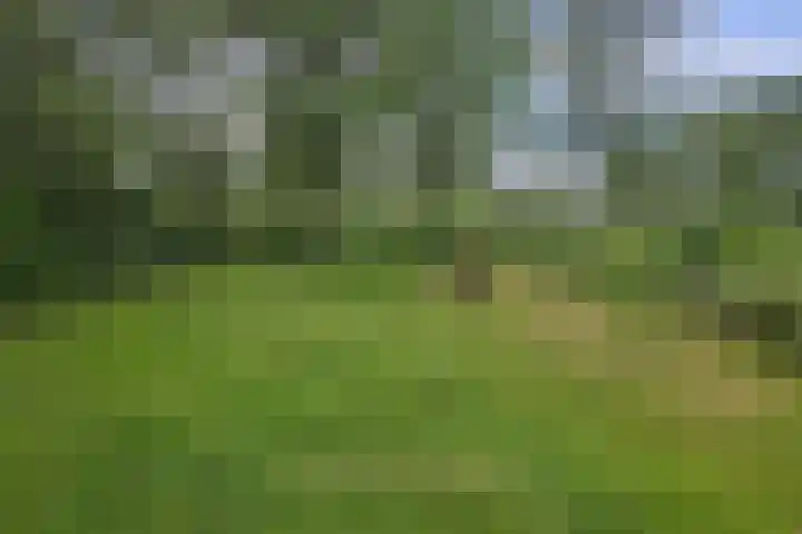 Munnikevaart 8 Oostwold thumbnail 26