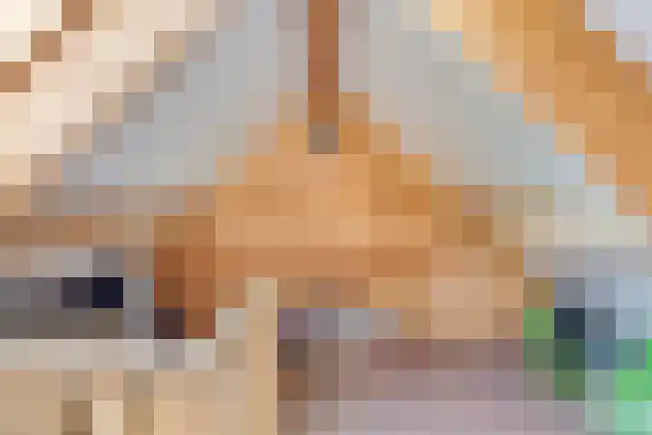 Munnikevaart 8 Oostwold thumbnail 38