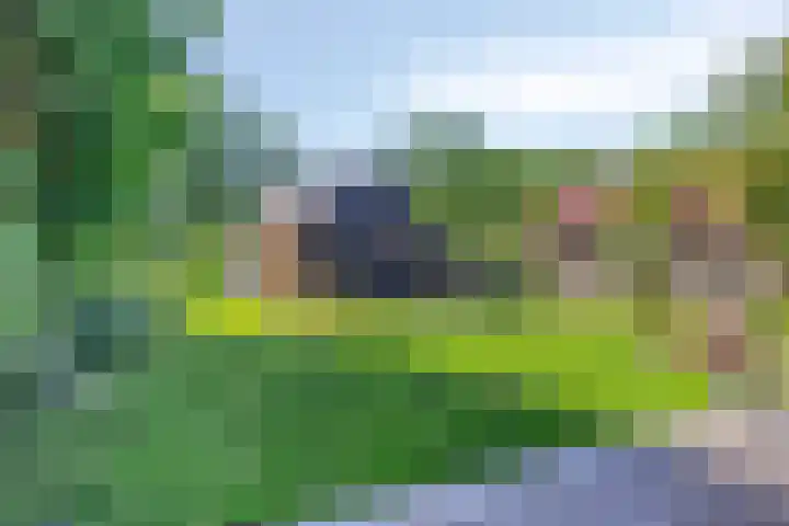 Munnikevaart 8 Oostwold thumbnail 4