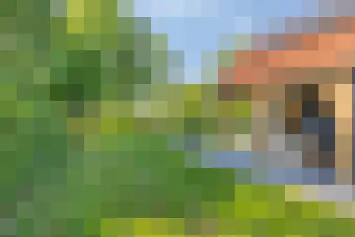Munnikevaart 8 Oostwold thumbnail 5