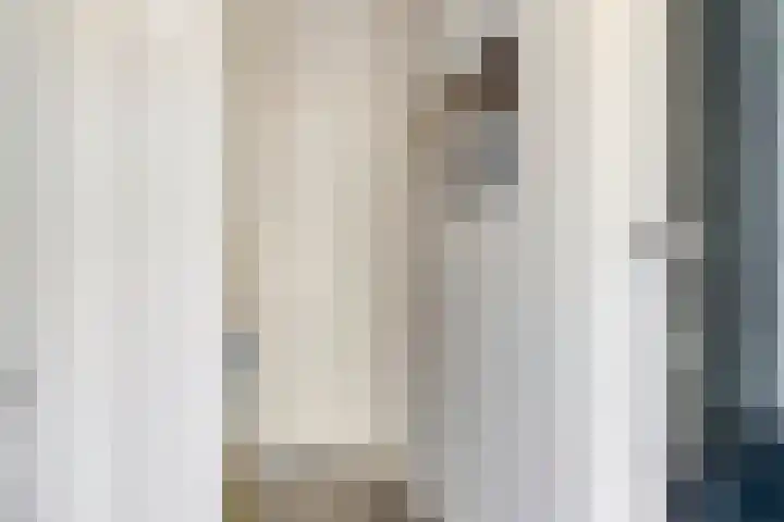 Munnikevaart 8 Oostwold thumbnail 7