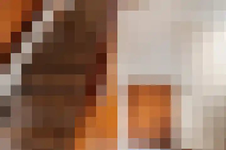 Munnikeweg 4 A Ederveen thumbnail 13