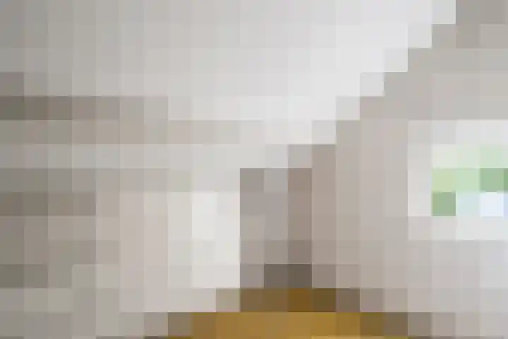 Munnikeweg 4 A Ederveen thumbnail 17
