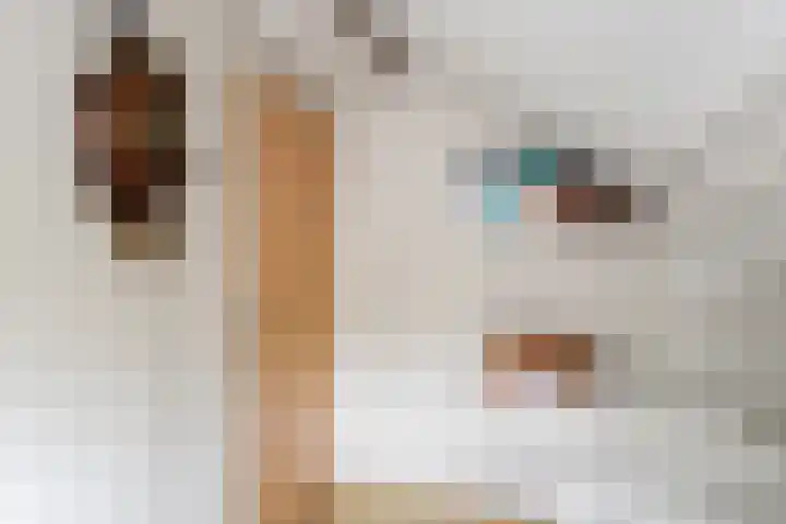 Munnikeweg 4 A Ederveen thumbnail 18