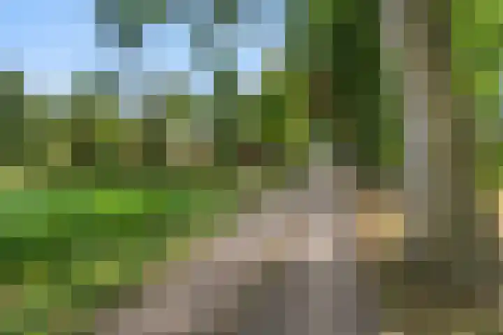 Munnikeweg 4 A Ederveen thumbnail 23