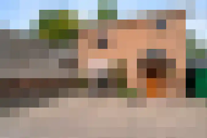 Munnikeweg 4 A Ederveen thumbnail 24