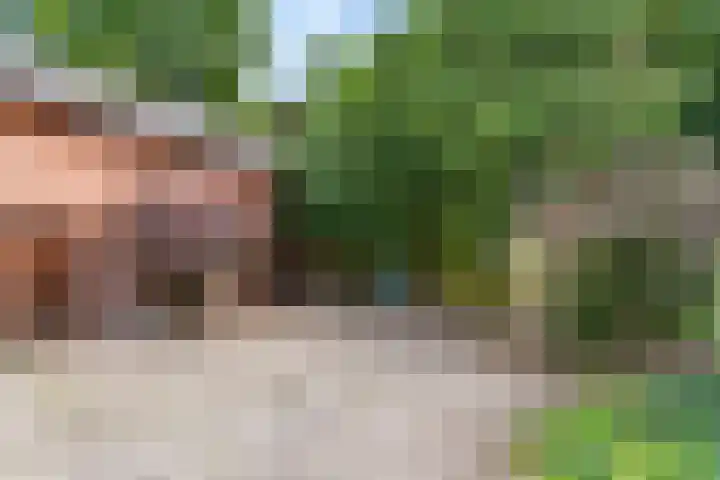 Munnikeweg 4 A Ederveen thumbnail 25