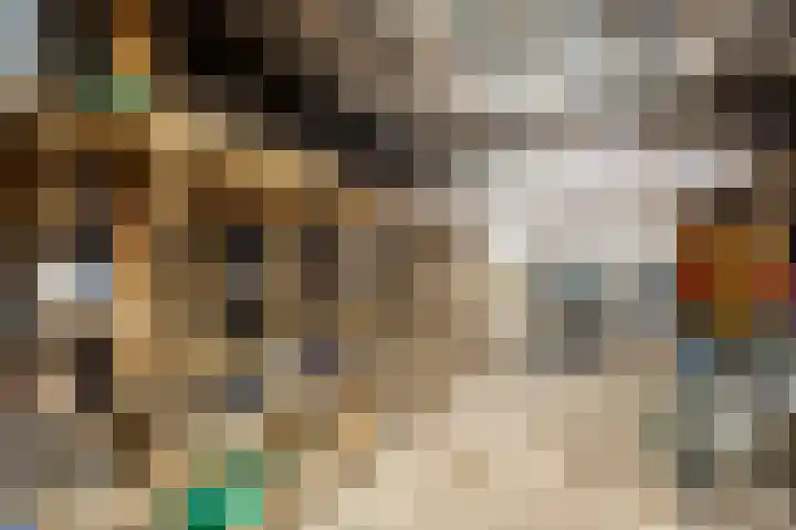 Munnikeweg 4 A Ederveen thumbnail 33