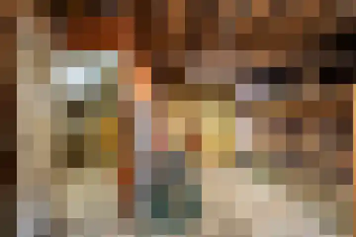 Munnikeweg 4 A Ederveen thumbnail 34