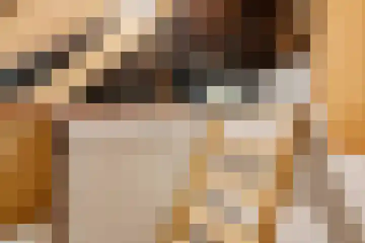 Munnikeweg 4 A Ederveen thumbnail 38