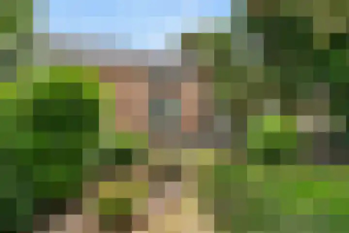 Munnikeweg 4 A Ederveen thumbnail 4