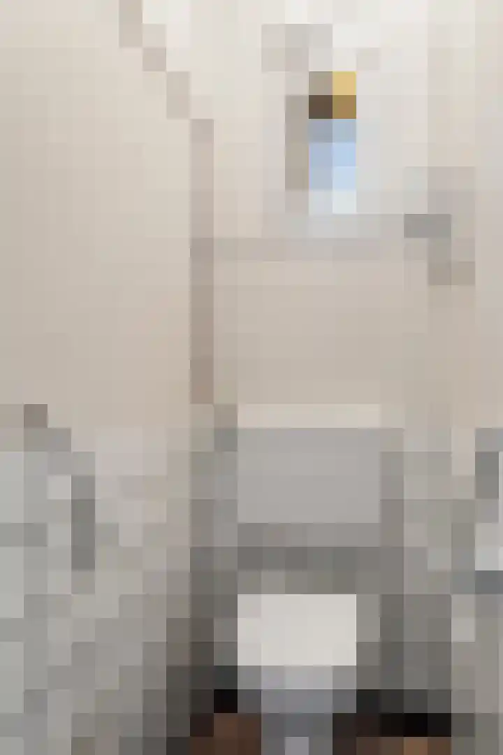 Munnikeweg 4 A Ederveen thumbnail 7