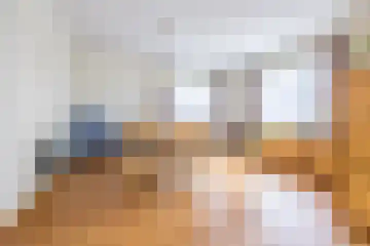 Munnikhoef 1 Zeeland thumbnail 19