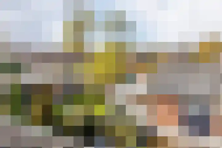 Munnikhoef 1 Zeeland thumbnail 30