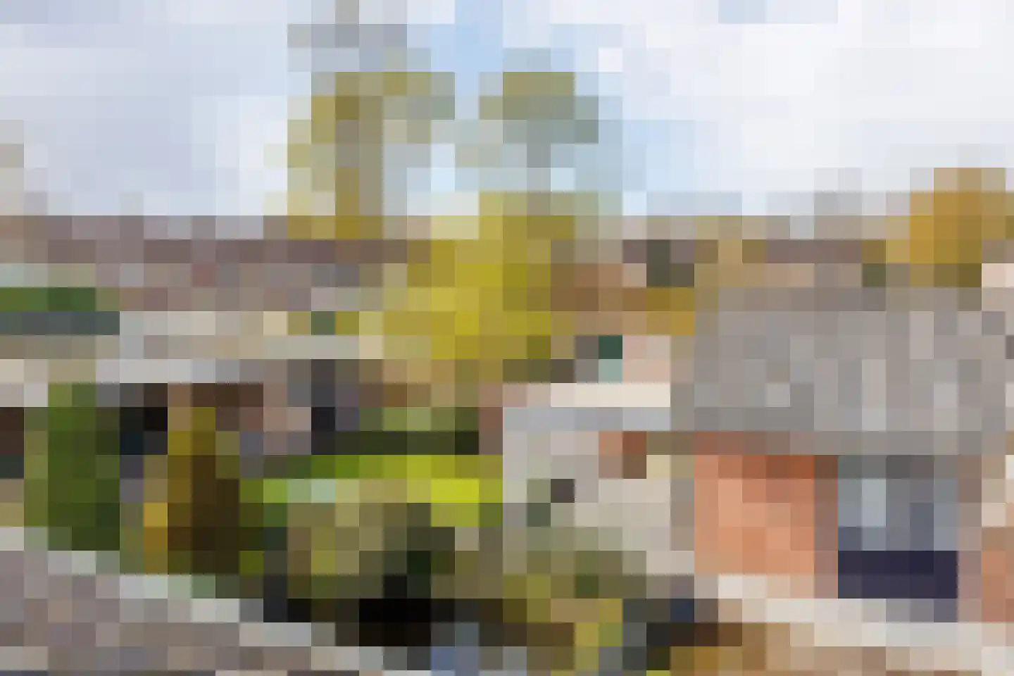 Munnikhoef 1 Zeeland thumbnail 30