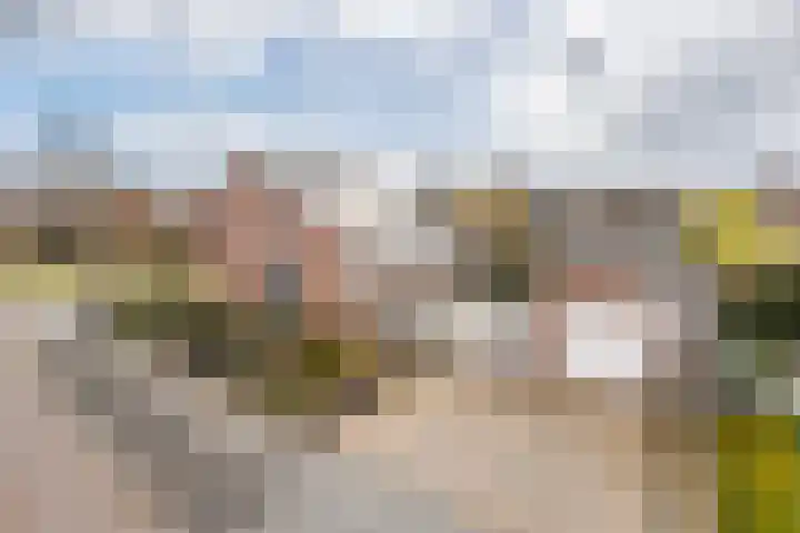 Munnikhoef 1 Zeeland thumbnail 4