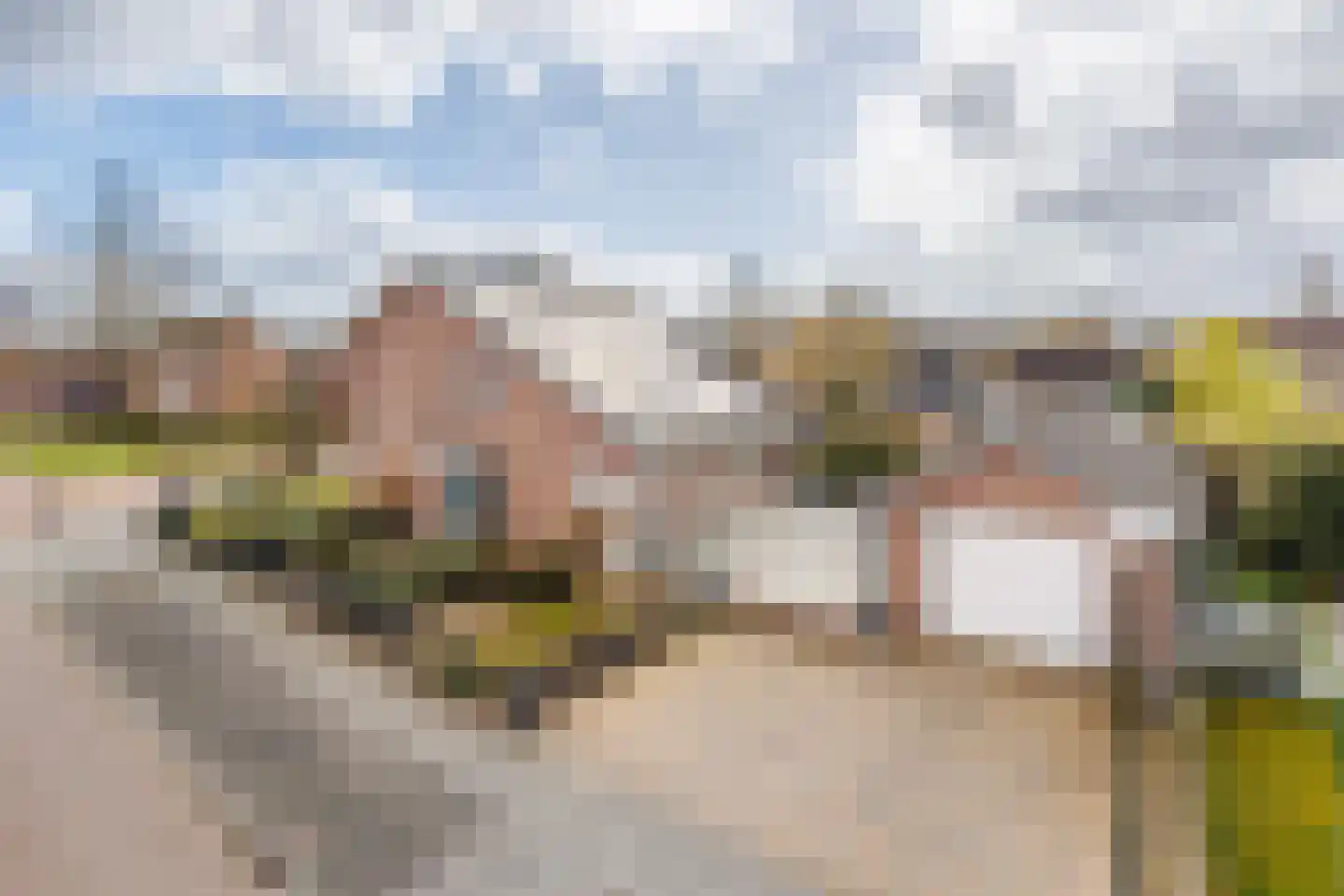 Munnikhoef 1 Zeeland thumbnail 4