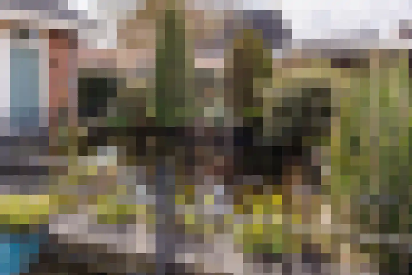 Munnikhoef 1 Zeeland thumbnail 46