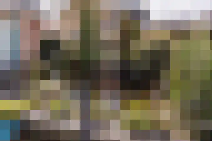 Munnikhoef 1 Zeeland thumbnail 46