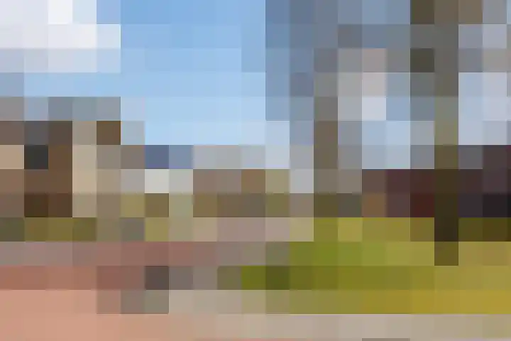 Munnikhoef 1 Zeeland thumbnail 55