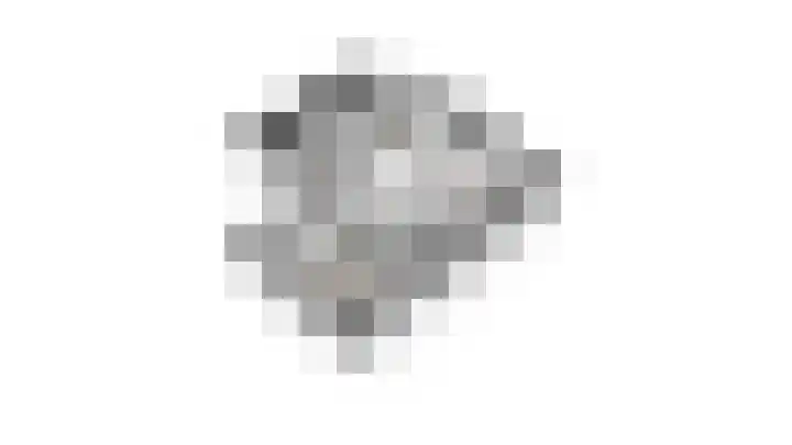Munnikhoef 1 Zeeland thumbnail 59