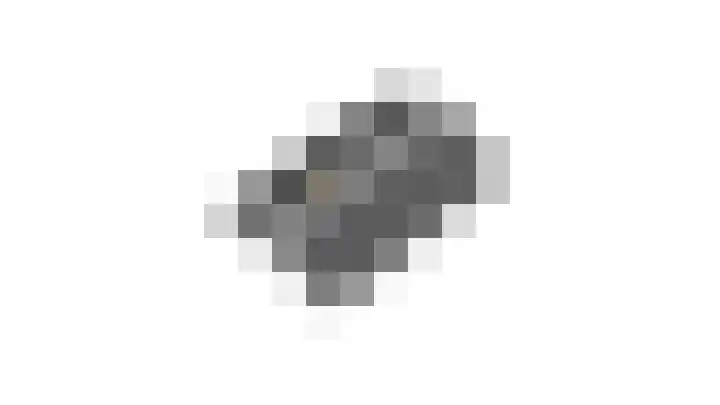 Munnikhoef 1 Zeeland thumbnail 61