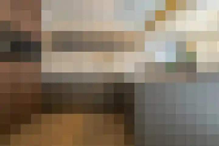 Munnikhoef 13 Zeeland thumbnail 16