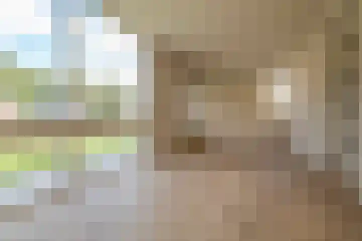 Munnikhoef 13 Zeeland thumbnail 22