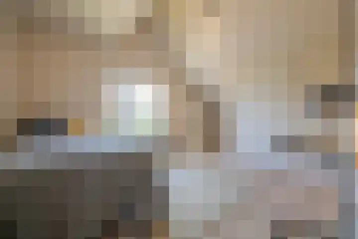 Munnikhoef 13 Zeeland thumbnail 33