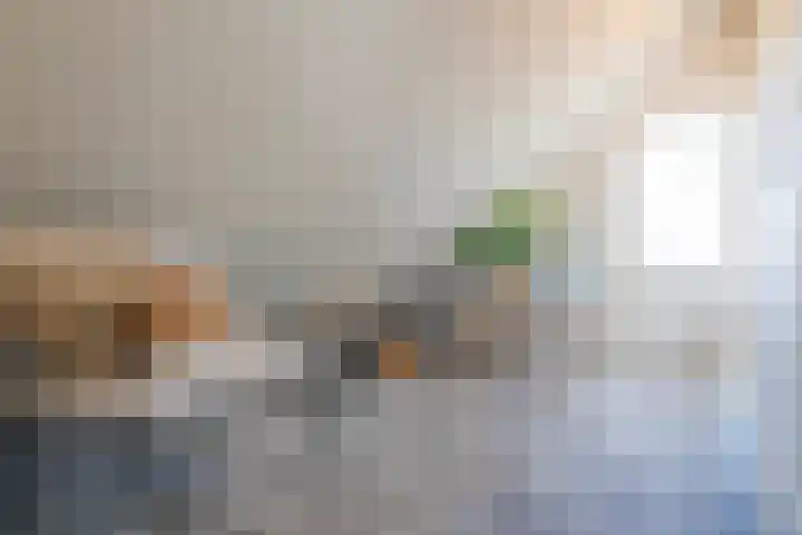 Munnikhoef 13 Zeeland thumbnail 39