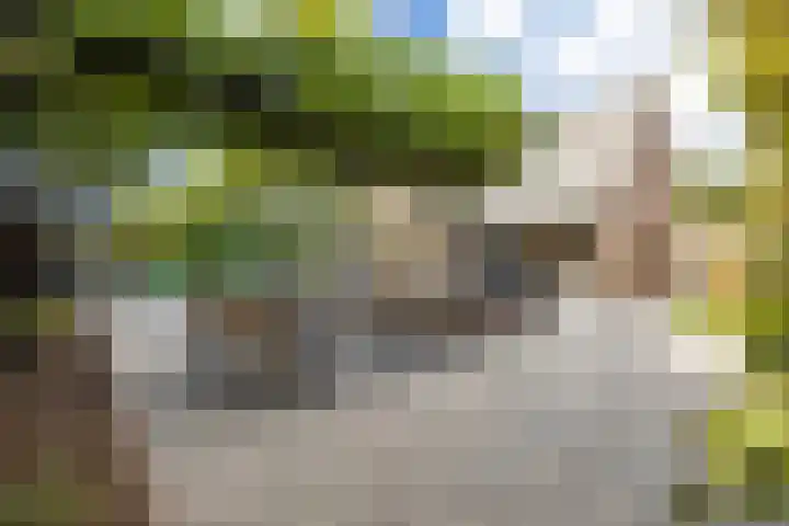 Munnikhoef 13 Zeeland thumbnail 45