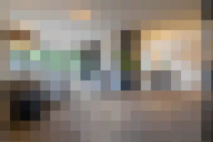 Munnikhoef 13 Zeeland thumbnail 7