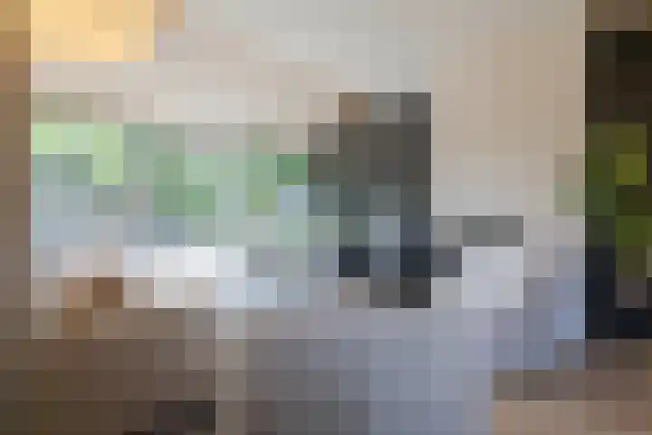 Munnikhoef 13 Zeeland thumbnail 8
