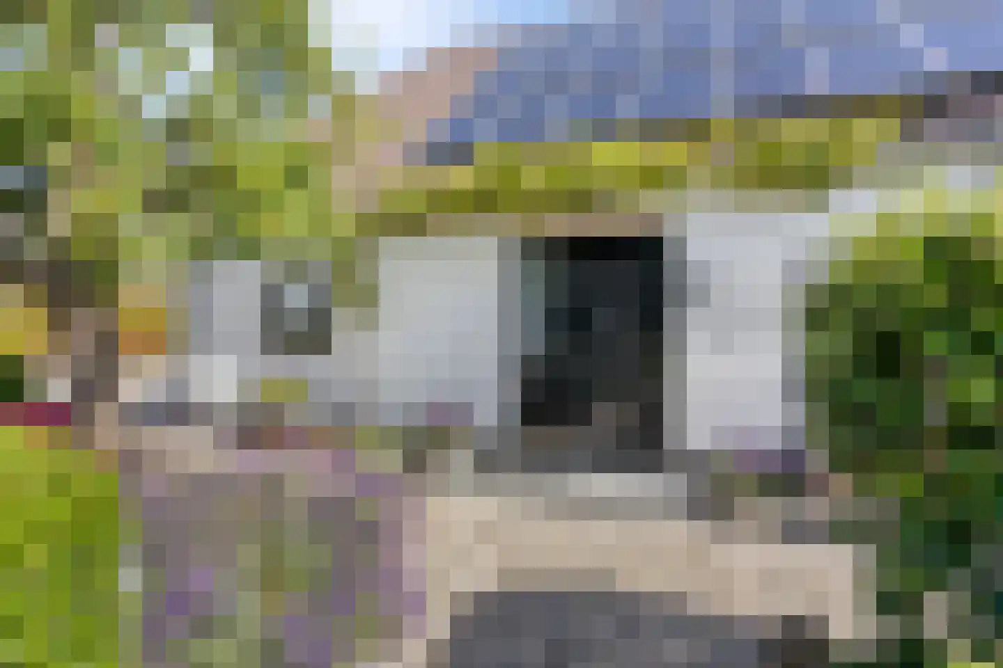 Munnikhofsestraat 11 Gendt thumbnail 12