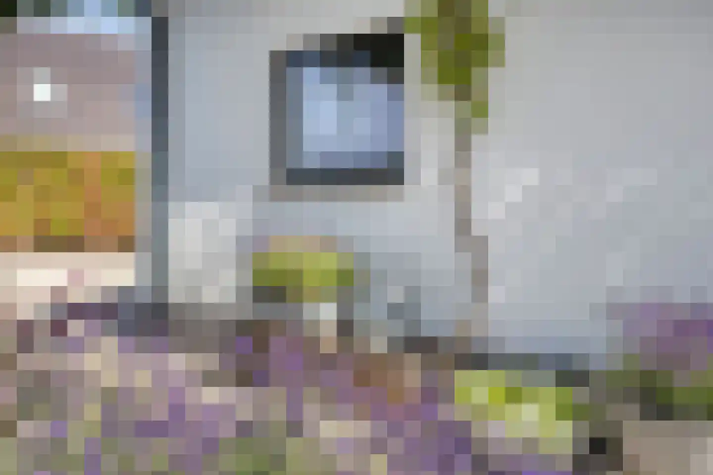 Munnikhofsestraat 11 Gendt thumbnail 13