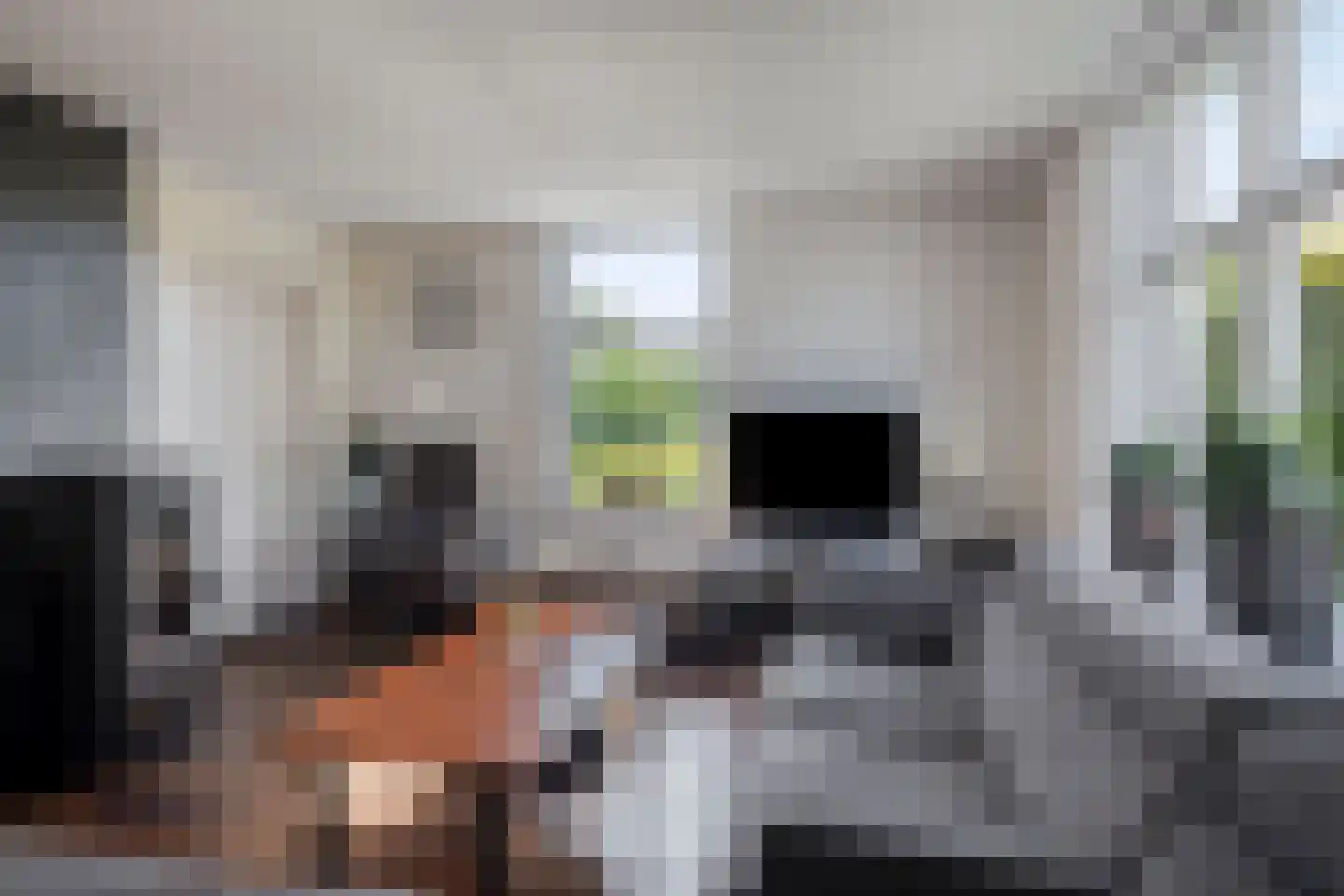 Munnikhofsestraat 11 Gendt thumbnail 19