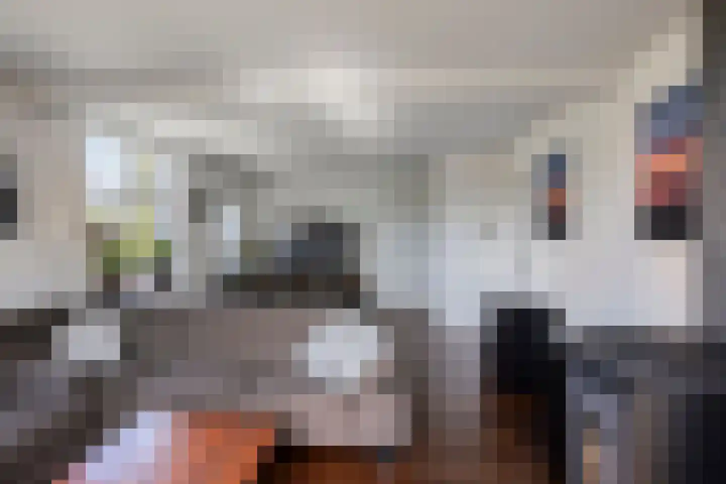 Munnikhofsestraat 11 Gendt thumbnail 24