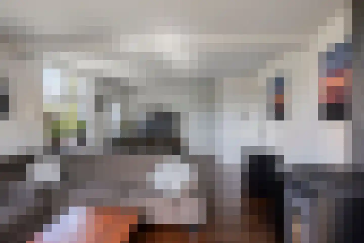 Munnikhofsestraat 11 Gendt thumbnail 25