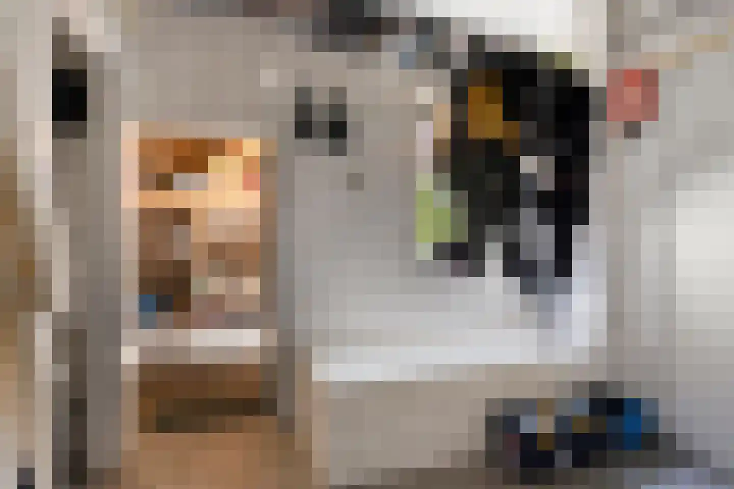Munnikhofsestraat 11 Gendt thumbnail 32