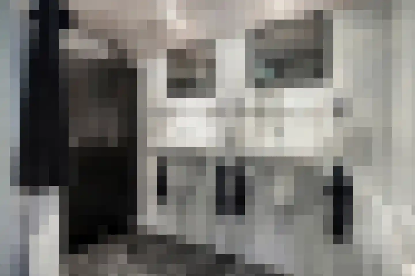 Munnikhofsestraat 11 Gendt thumbnail 40