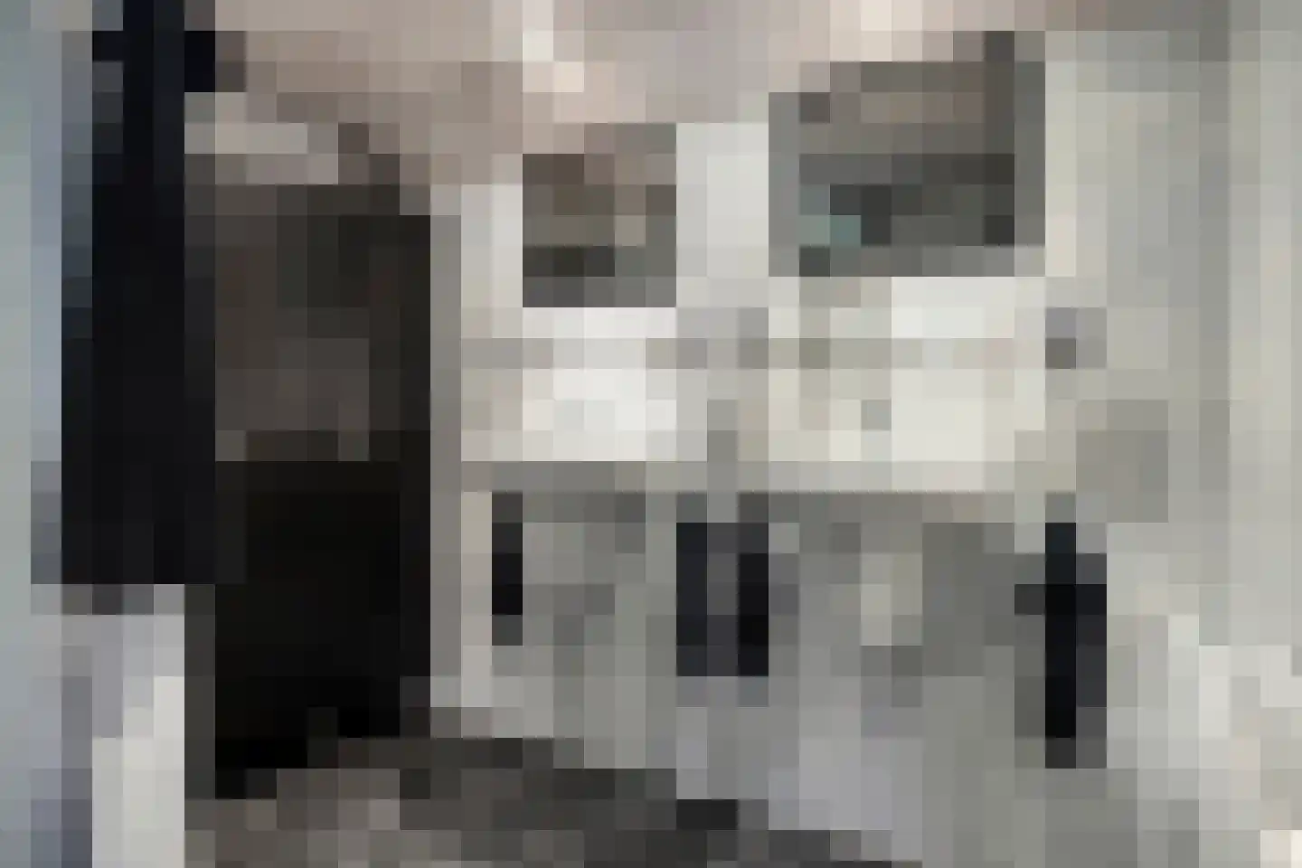 Munnikhofsestraat 11 Gendt thumbnail 41